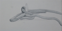 w1184 Seil Aquarell w1184 Seil Aquarell